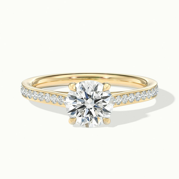 Elma 3 Carat Round Solitaire Pave Lab Grown Diamond Ring in 10k Yellow Gold