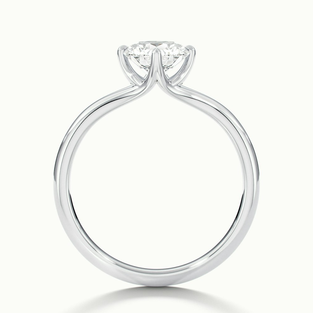 Nelli 1 Carat Round Cut Solitaire Lab Grown Diamond Ring in 14k White Gold