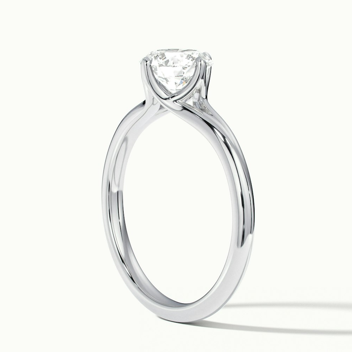 Nelli 3 Carat Round Cut Solitaire Lab Grown Diamond Ring in 10k White Gold