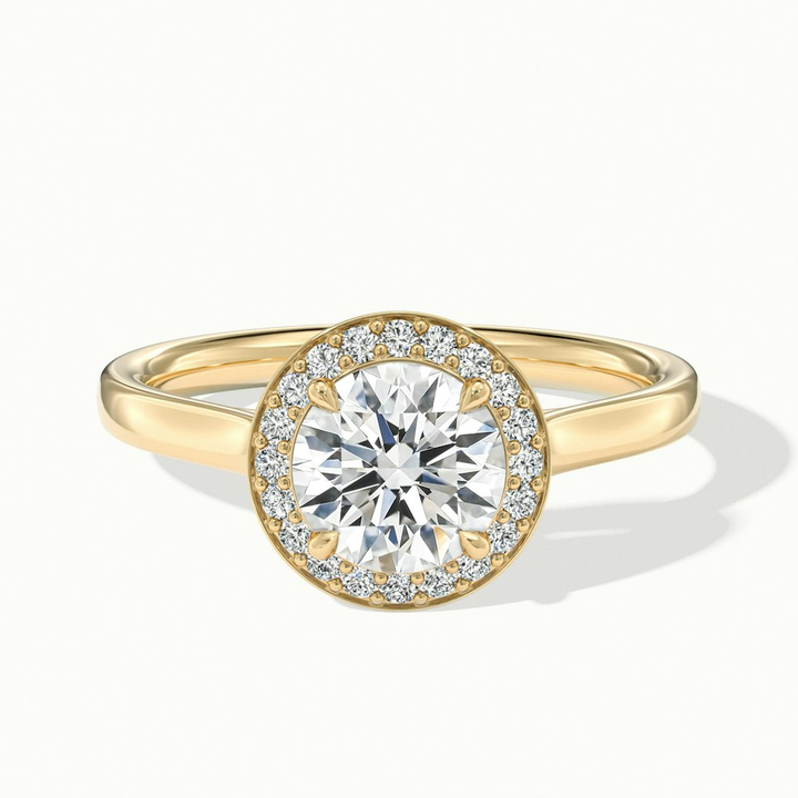 Iva 1 Carat Round Halo Moissanite Diamond Ring in 10k Yellow Gold