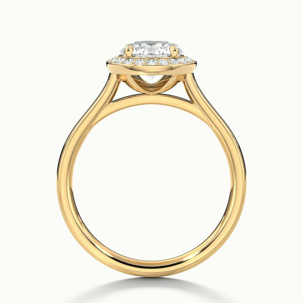 Iva 2 Carat Round Halo Moissanite Diamond Ring in 14k Yellow Gold