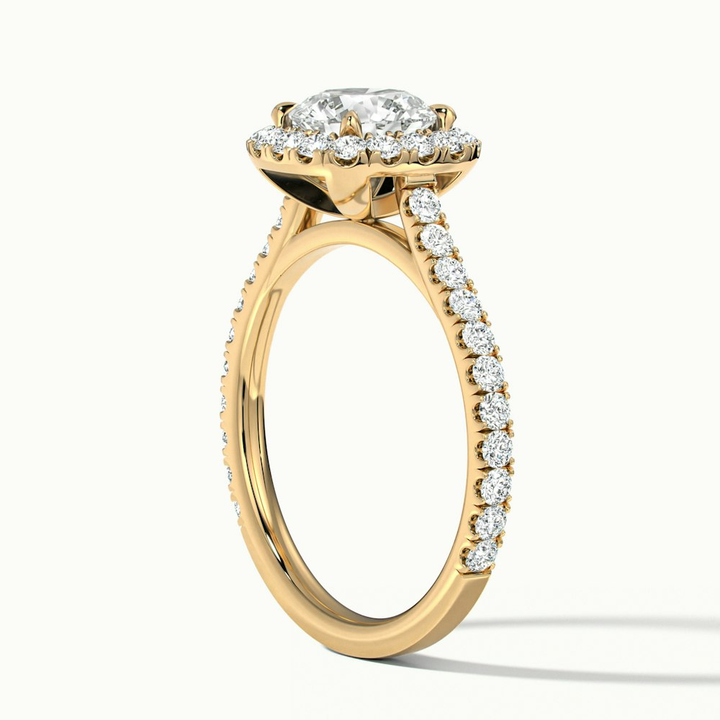 Anika 1 Carat Round Halo Pave Moissanite Diamond Ring in 10k Yellow Gold