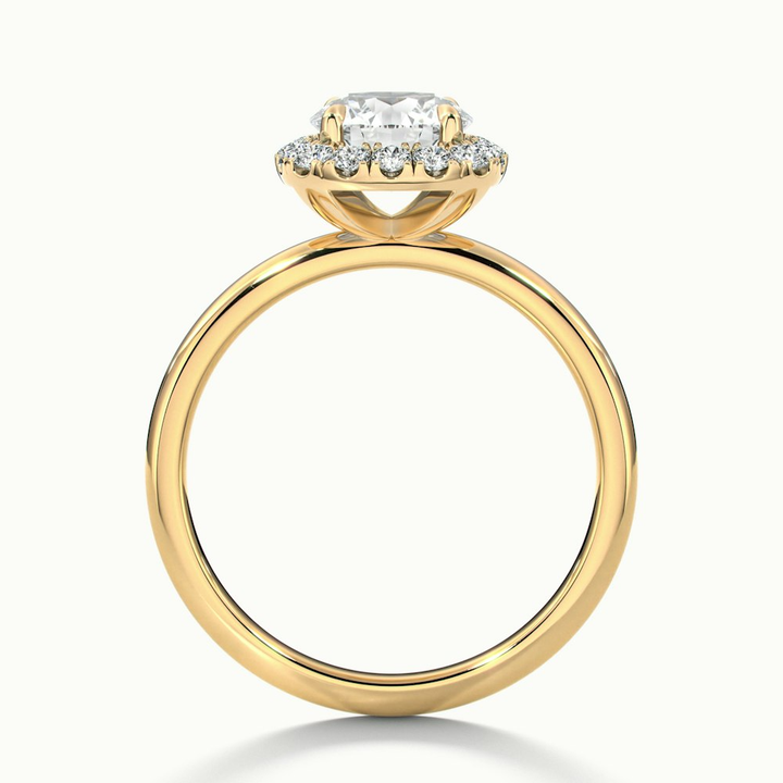 Anya 5 Carat Round Cut Halo Moissanite Engagement Ring in 14k Yellow Gold
