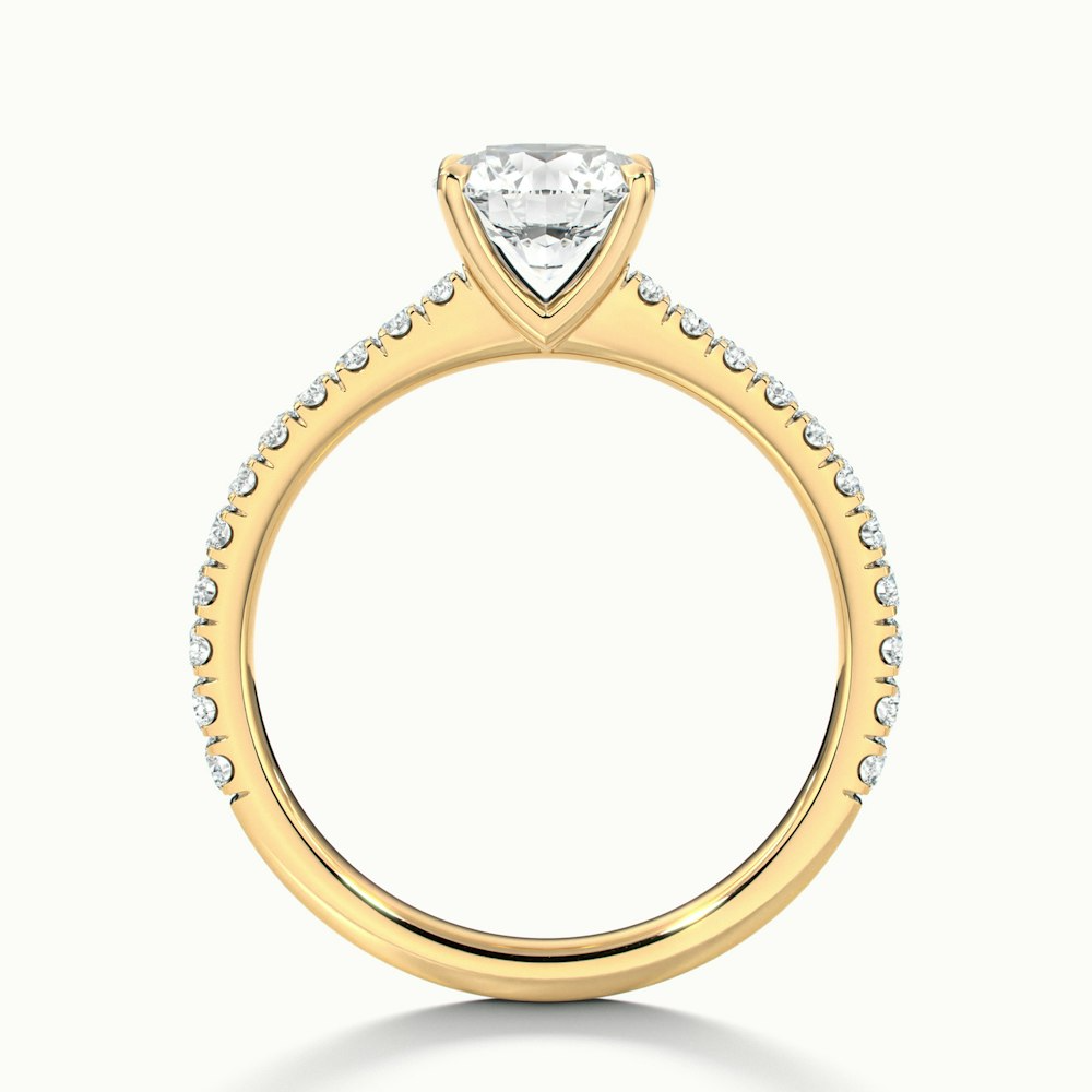 Sarah 3 Carat Round Solitaire Pave Lab Grown Diamond Ring in 10k Yellow Gold